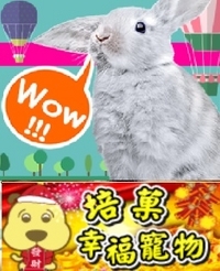 培菓平價寵物網